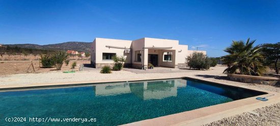  Villa en venta en Pinoso (Alicante) 