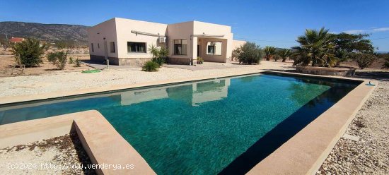 Villa en venta en Pinoso (Alicante)