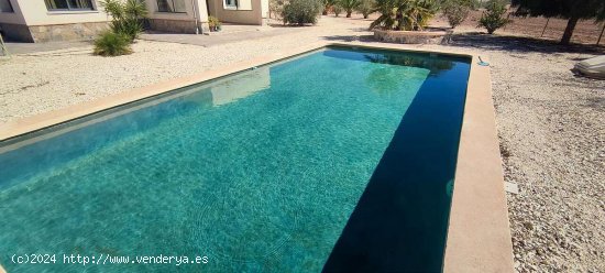 Villa en venta en Pinoso (Alicante)