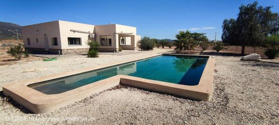 Villa en venta en Pinoso (Alicante)