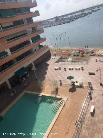 Apartamento en venta en Torrevieja (Alicante)