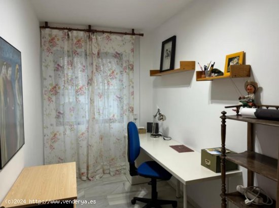 Apartamento en alquiler en Granada (Granada)