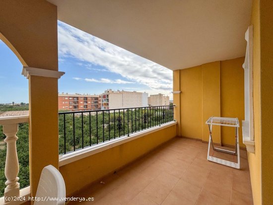  Apartamento en alquiler en Almoradí (Alicante) 