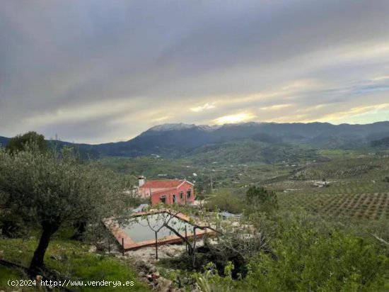  Finca en venta en Alozaina (Málaga) 