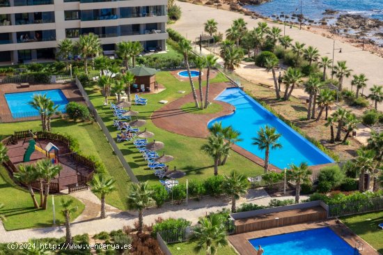 Apartamento en venta a estrenar en Torrevieja (Alicante)