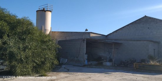 Nave industrial en venta  en Motril - Granada