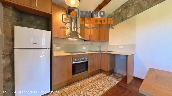 Apartamento en venta  en Baronia de Sant Oìsme - Lleida