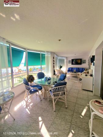 ¡Exclusivo Piso en Benidorm, 1ª Línea de Playa! - ALICANTE