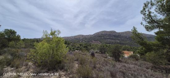 CASA DE CAMPO PARA REFORMAR CON 21000 M2 DE TERRENO EN FINESTRAT - ALICANTE