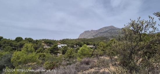 CASA DE CAMPO PARA REFORMAR CON 21000 M2 DE TERRENO EN FINESTRAT - ALICANTE