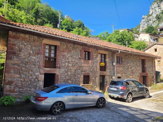 Se vende gran propiedad con terreno en La Hermida, Peñarrubia, Cantabria - CANTABRIA