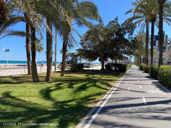 Apartamento ubicado en primera linea del mar en un edificio completamente rehabilitado. - ALICANTE