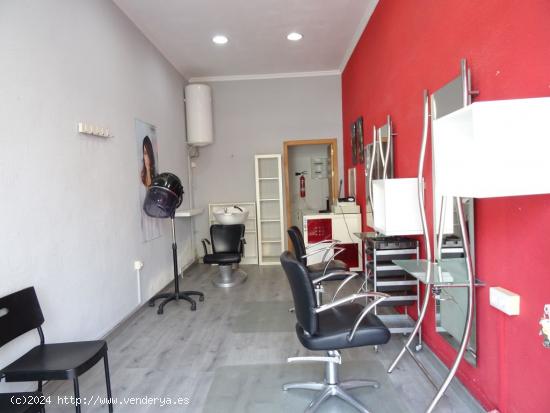 Local comercial en alquiler - MURCIA