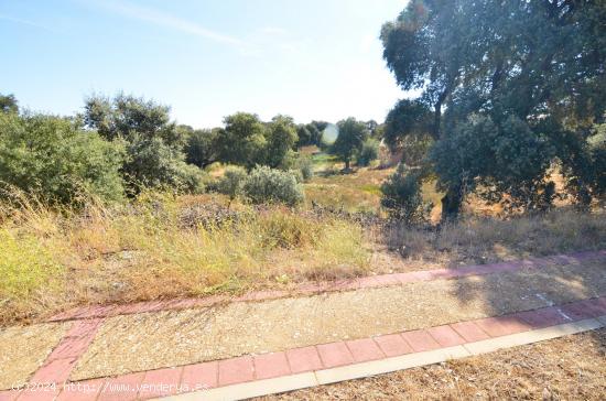 Urbis te ofrece una parcela en venta en Urbanización Oasis Golf, Carrascal de Barregas, Salamanca. 