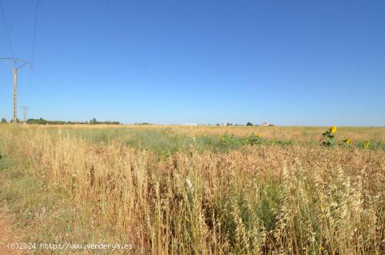 Urbis te ofrece un terreno en venta en Castellanos de Villiquera, Salamanca. - SALAMANCA