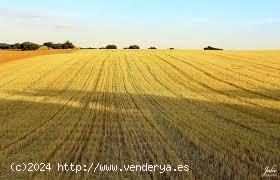 Propiedad agrícola en Teruel capital - TERUEL