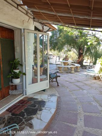 Se vende parcela en Comala con preciosa casa - MURCIA