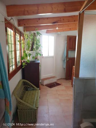 Se vende parcela en Comala con preciosa casa - MURCIA