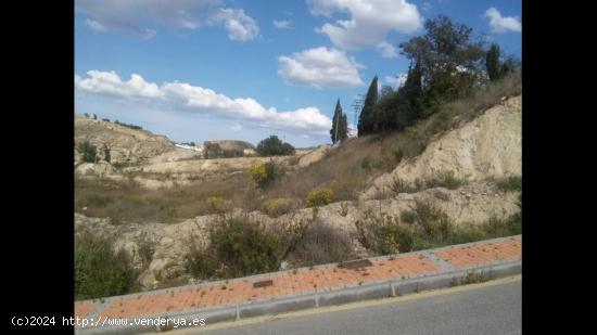 Se vende Solar en Torre Alta de Molina de Segura - MURCIA