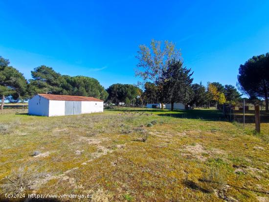 FINCA RUSTICA JUNTO CARRETERA MADRID EN LA PEDRAJA DE PORTILLO - VALLADOLID