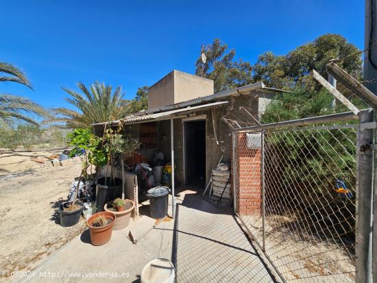 HERMOSO TERRENO VALLADO CON 10.000 M2 ENTRE EL ALTET Y LOS LIMONEROS - ALICANTE