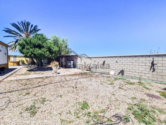 FINCA RÚSTICA EN LA ZONA DE MUNIVE - CADIZ