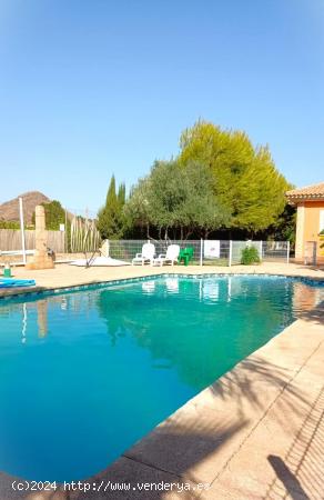 Se vende bonito chalet de huerta con parcela en el Esparragal. - MURCIA