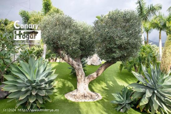 Villa de Lujo en venta La Caleta Costa Adeje - SANTA CRUZ DE TENERIFE