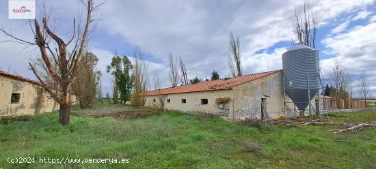 101- Terreno rústico con naves y dos casas en Villeguillo (Segovia) - SEGOVIA