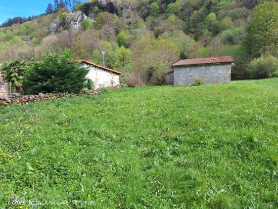 Casa de piedra con cabaña en venta en San Roque de Riomiera - CANTABRIA