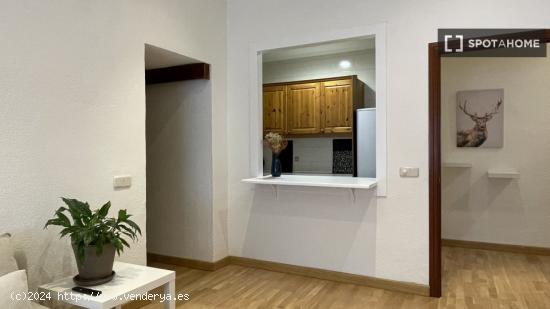 Apartamento entero de 1 habitaciones en Madrid - MADRID