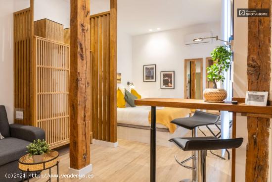  ¡Precioso Estudio en alquiler en Madrid! - MADRID 