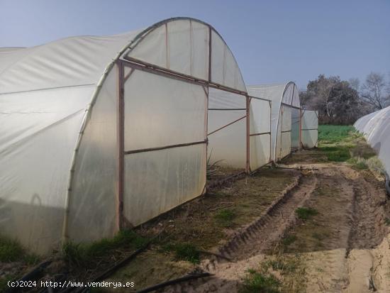 FINCA AGRÍCOLA EN ENCINAREJO!!!!!! - CORDOBA