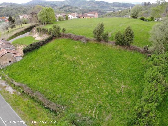  Oportunidad Terreno en Gargantada - ASTURIAS 