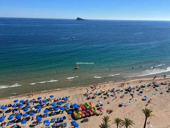 Piso en venta en primera línea playa de Levante - ALICANTE