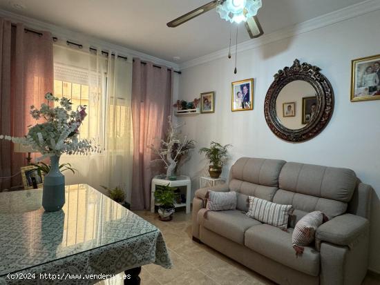  VIVIENDA EN PLANTA BAJA, ZONA CERRO FALON!! - CADIZ 