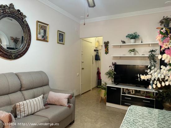 VIVIENDA EN PLANTA BAJA, ZONA CERRO FALON!! - CADIZ