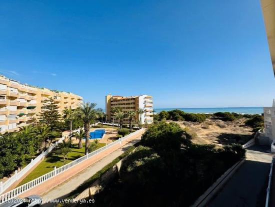  APARTAMENTO A 200M DE LA PLAYA ! LA MATA! 2 DORM. 1 BAÑO - ALICANTE 