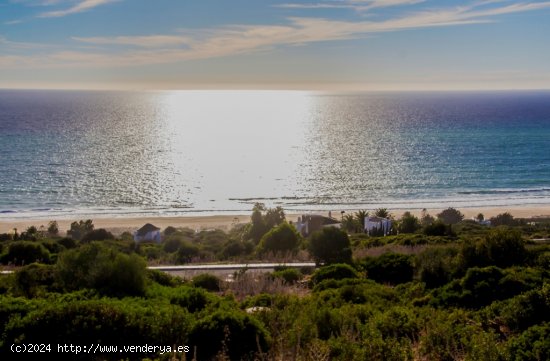 Solar urbano en Venta en Zahara De Los Atunes Cádiz