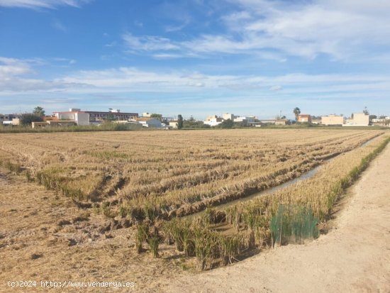 venta de 2 parcelas en SANT JAUME D ENVEJA