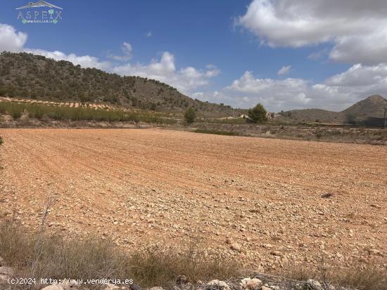 Terreno Jumilla zona Paraje Chamaleta - MURCIA