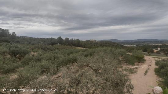 OPORTUNIDAD CASA DE CAMPO EN FINCA DE REGADIO PLANTADA DE O0LIVOS EN MIRAVET-RASQUERA - TARRAGONA