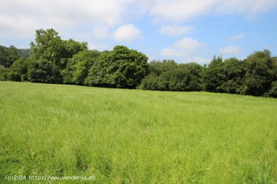 Se Vende en Alfoz de Lloredo - CANTABRIA