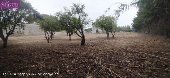  BONITA FINCA DE RECREO - CADIZ 