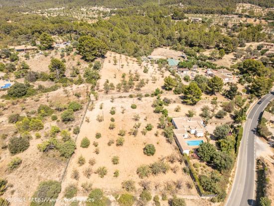 Terreno agrario  de 7.000m2 en Calvia con pozo propio, Mallorca - BALEARES