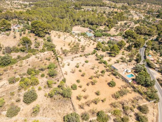 Terreno agrario  de 7.000m2 en Calvia con pozo propio, Mallorca - BALEARES