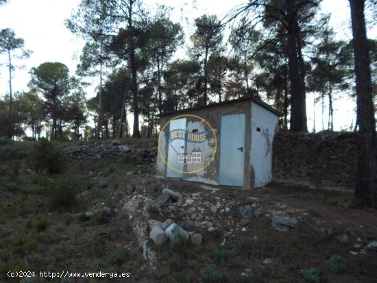 AMPLIO TERRENO CON REFUGIO, ASEO Y POZO DE AGUA NATURAL EN LA SIERRA MARIOLA DE BOCAIRENT (VALENCIA)