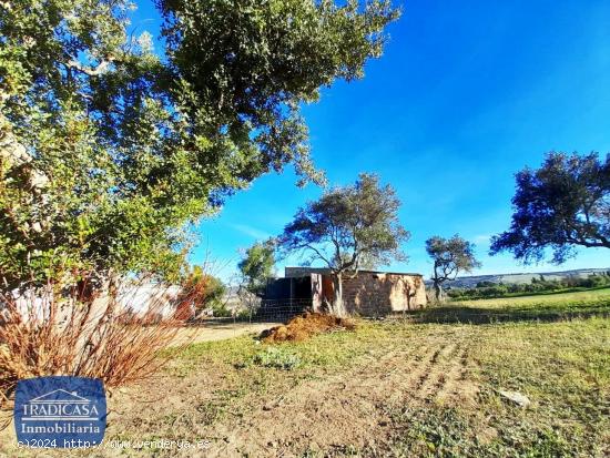 FINCA RUSTICA  DE 34.619M² EN ARCOS DE LA FRONTERA - CADIZ