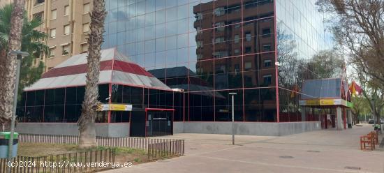 Local Comercial, en alquiler y en venta - MURCIA