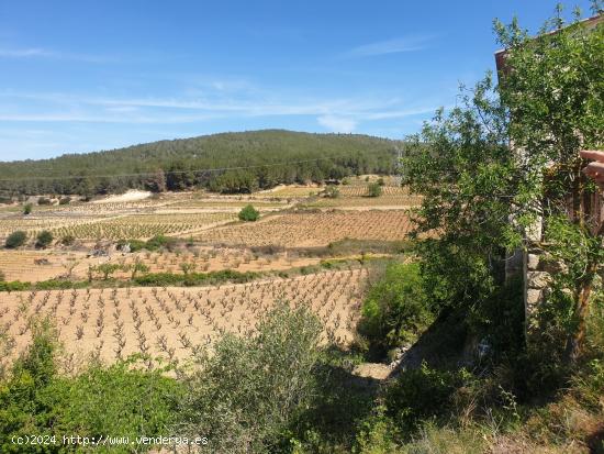 FINCA RUSTICA EN VENTA DE 24 Ha. - BARCELONA